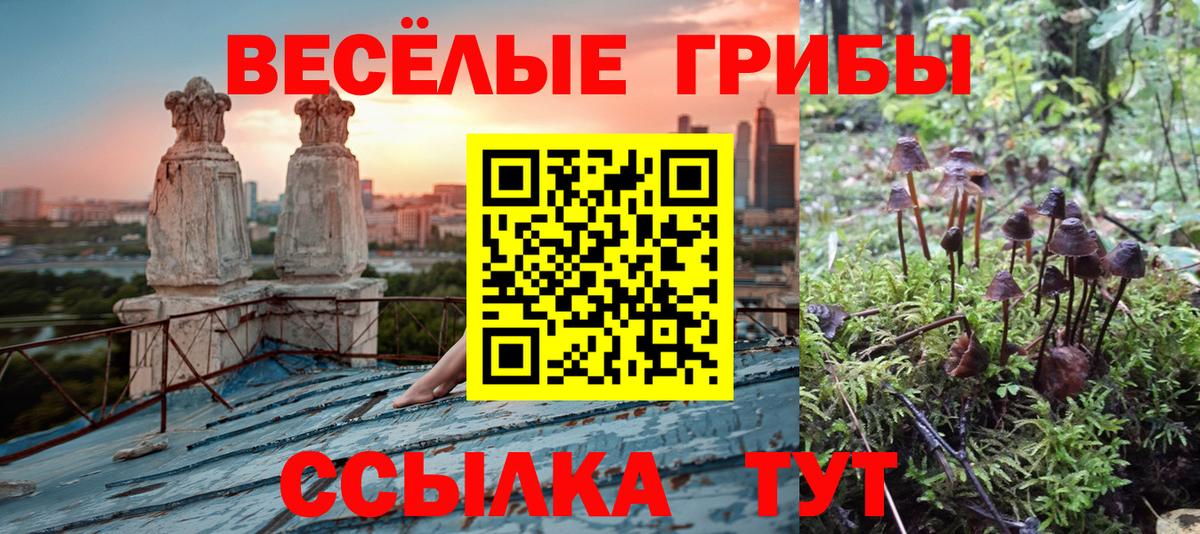 Галлюциногенные грибы GOLDEN TEACHER  Псилоцибиновые грибы Psilocybe  Кисловодск  Вход с VPN 
