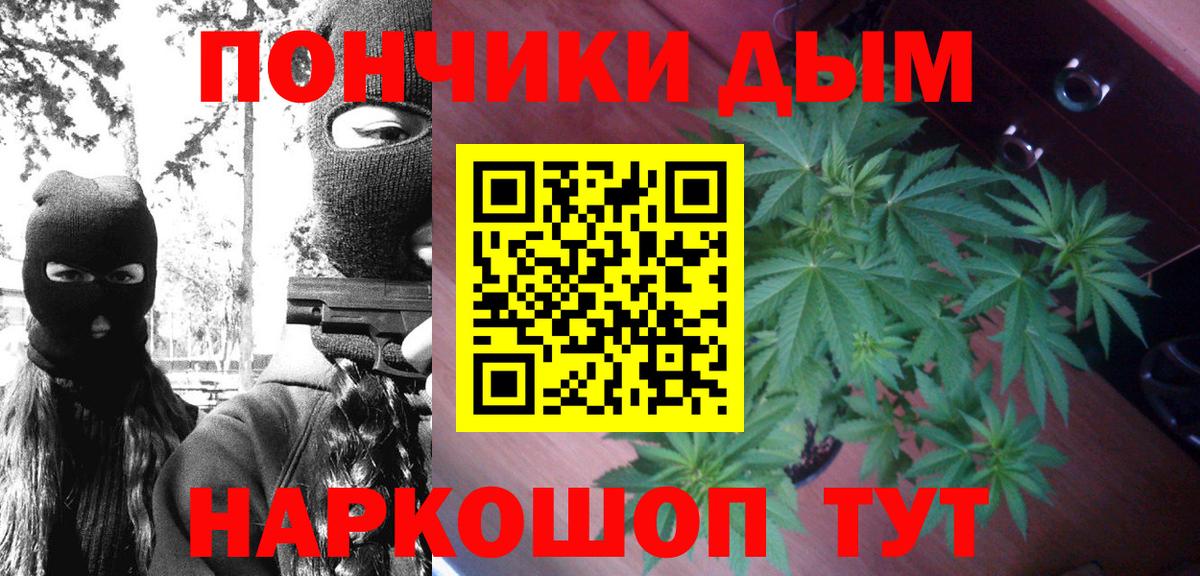 МАРИХУАНА ГИДРОПОН Кисловодск